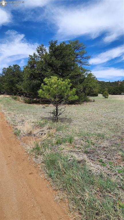 TBDL 20th Trail, Cotopaxi, CO 81223