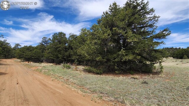 TBDL 20th Trail, Cotopaxi, CO 81223