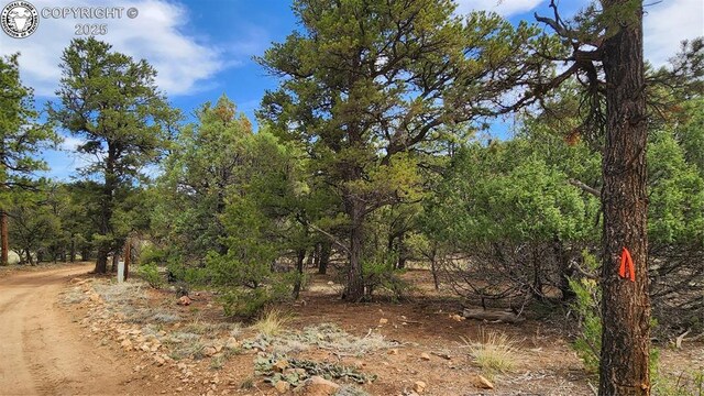 TBDL 20th Trail, Cotopaxi, CO 81223