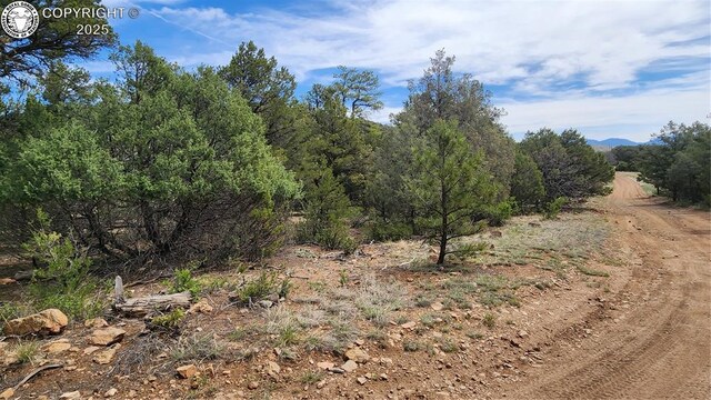TBDL 20th Trail, Cotopaxi, CO 81223