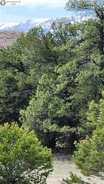 TBDL 20th Trail, Cotopaxi, CO 81223