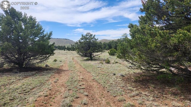 TBDL 20th Trail, Cotopaxi, CO 81223