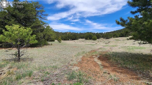 TBDL 20th Trail, Cotopaxi, CO 81223