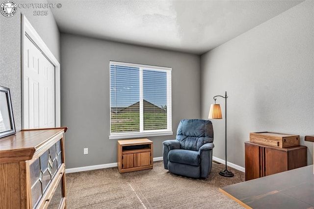 3528 Telegraph Trl, Canon City, CO 81212 - sitting room featuring baseboards and carpet