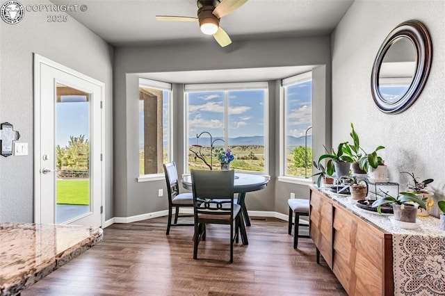 3528 Telegraph Trl, Canon City, CO 81212 - dining space featuring plenty of natural light, dark wood-style floors, a textured wall, and ceiling fan