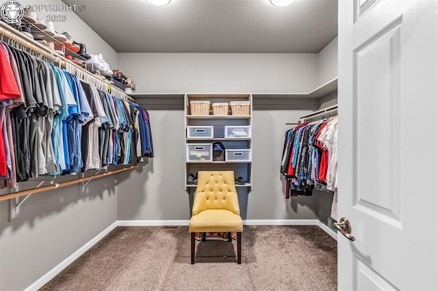 3528 Telegraph Trl, Canon City, CO 81212 - walk in closet with carpet