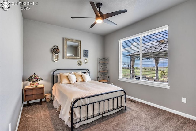 3528 Telegraph Trl, Canon City, CO 81212 - bedroom featuring carpet and a ceiling fan