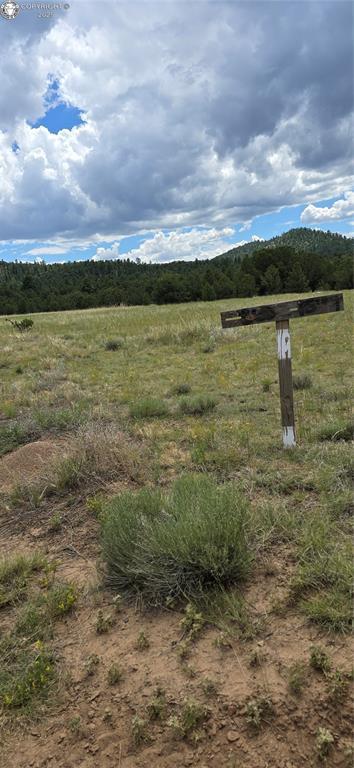 863 15th Trl, Cotopaxi, CO 81223 - photo 6
