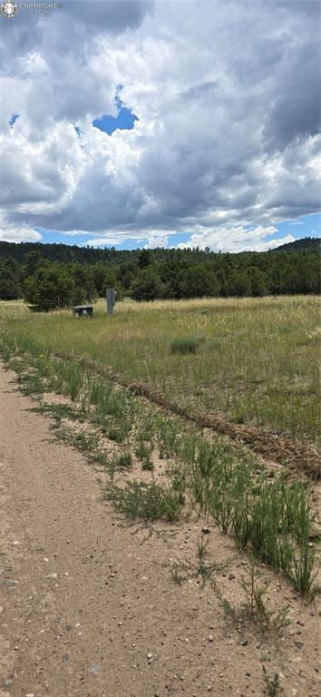 863 15th Trl, Cotopaxi, CO 81223 - photo 3