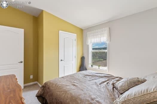 1704 Willow St, Brookside, CO 81212 - carpeted bedroom featuring baseboards