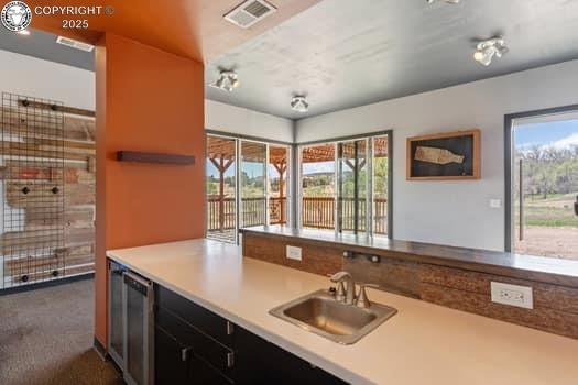 1704 Willow St, Brookside, CO 81212 - kitchen featuring a sink, a wealth of natural light, light countertops, and visible vents