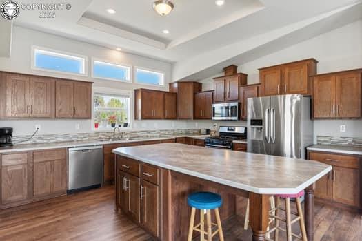 1704 Willow St, Brookside, CO 81212 - kitchen with a sink, stainless steel appliances, dark wood-style flooring, a kitchen bar, and a center island
