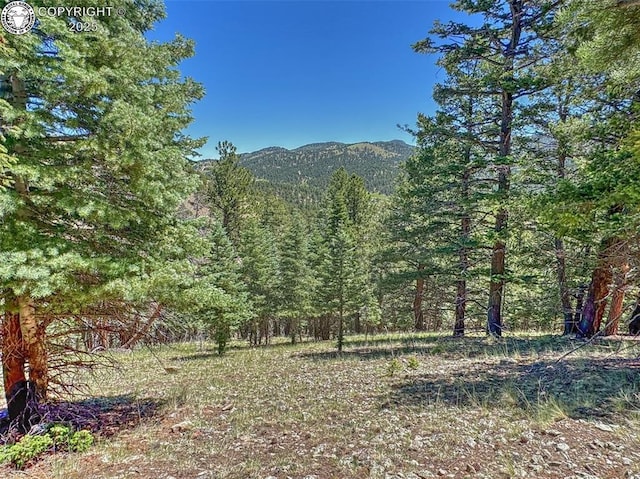 796 N Matterhorn Cir, Westcliffe, CO 81252