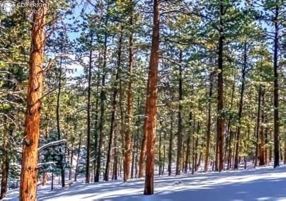 796 N Matterhorn Cir, Westcliffe, CO 81252
