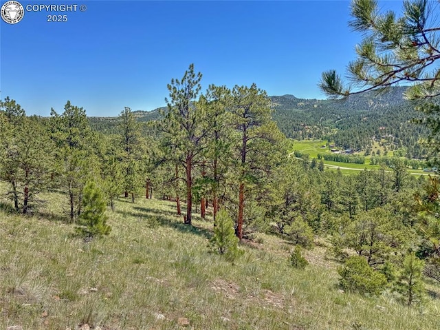 796 N Matterhorn Cir, Westcliffe, CO 81252