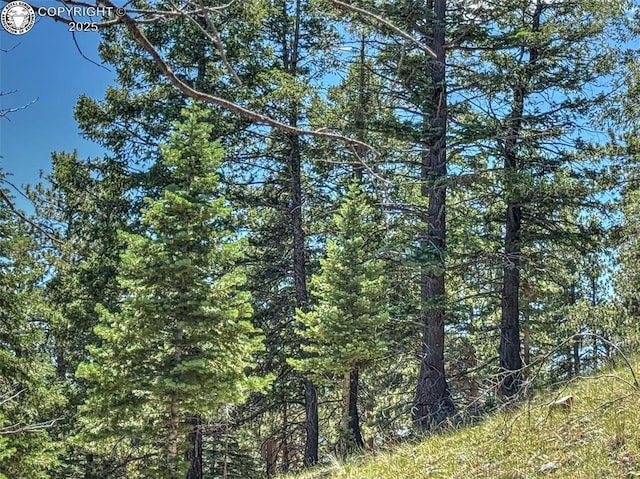 796 N Matterhorn Cir, Westcliffe, CO 81252