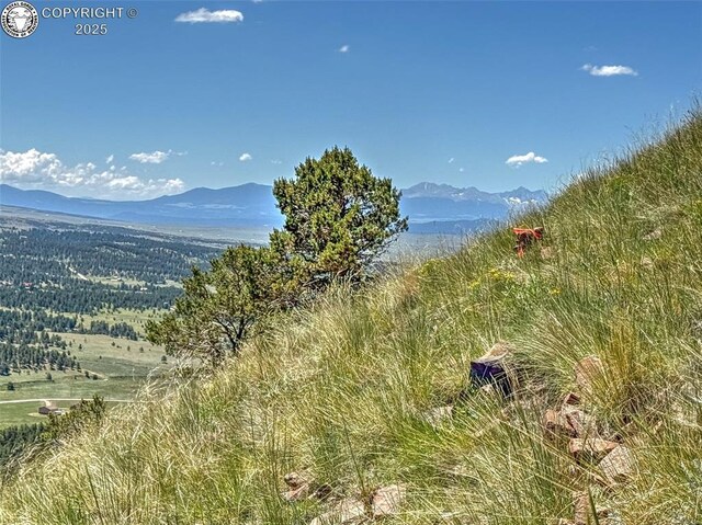 796 N Matterhorn Cir, Westcliffe, CO 81252