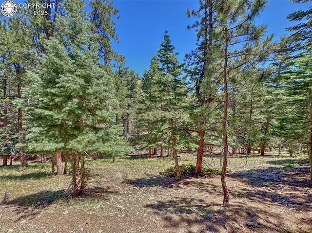 796 N Matterhorn Cir, Westcliffe, CO 81252