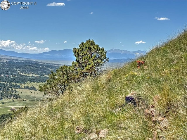 796 N Matterhorn Cir, Westcliffe, CO 81252