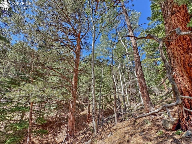 796 N Matterhorn Cir, Westcliffe, CO 81252