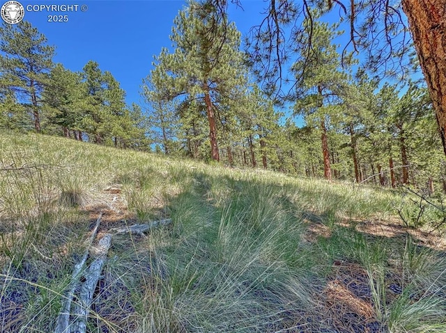 796 N Matterhorn Cir, Westcliffe, CO 81252