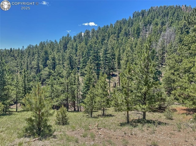 796 N Matterhorn Cir, Westcliffe, CO 81252