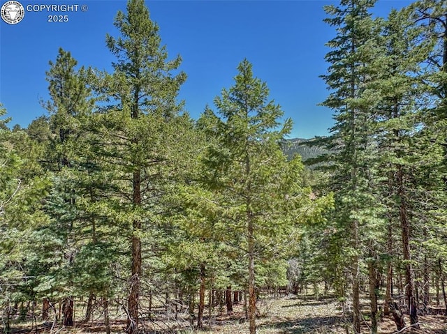 796 N Matterhorn Cir, Westcliffe, CO 81252