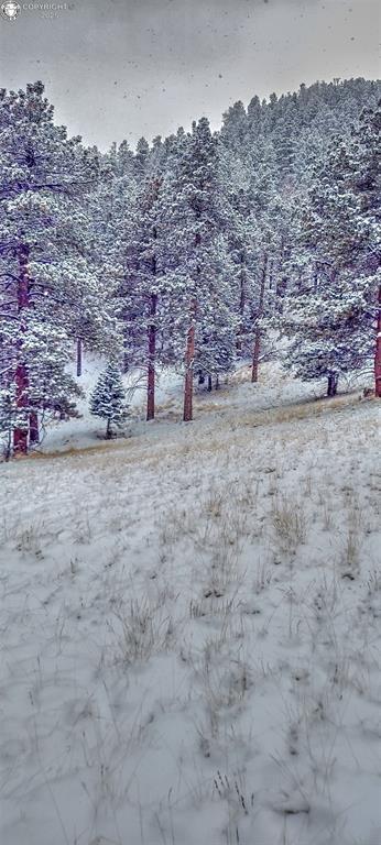 796 N Matterhorn Cir, Westcliffe, CO 81252