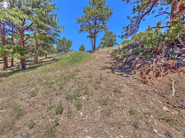 796 N Matterhorn Cir, Westcliffe, CO 81252