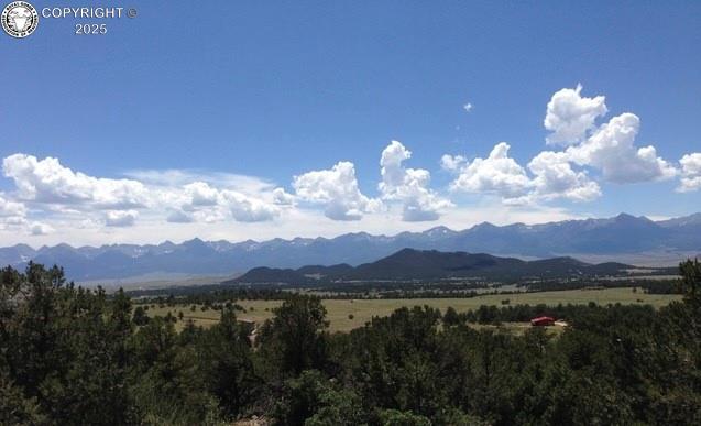 896 Domingo Way, Westcliffe, CO 81252 - photo 1