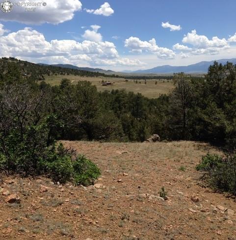896 Domingo Way, Westcliffe, CO 81252