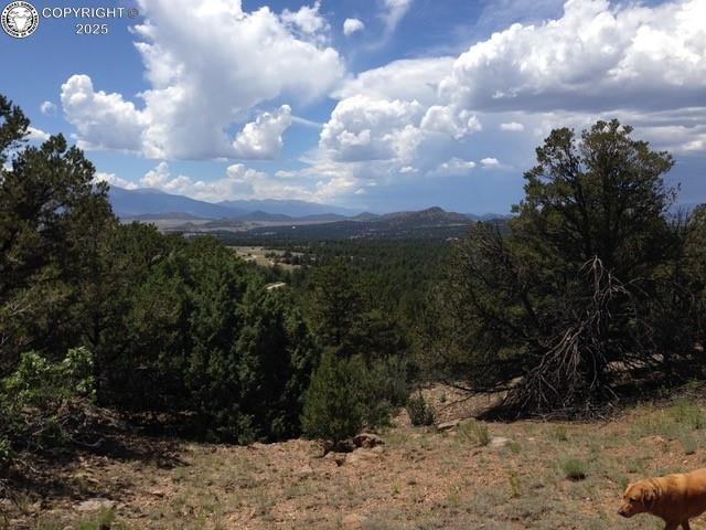 896 Domingo Way, Westcliffe, CO 81252