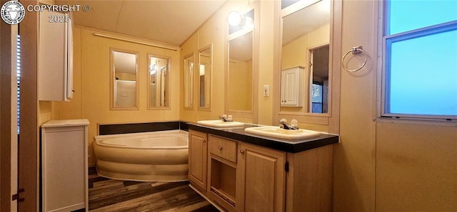 bathroom featuring hardwood / wood-style flooring, vanity, and a bathing tub