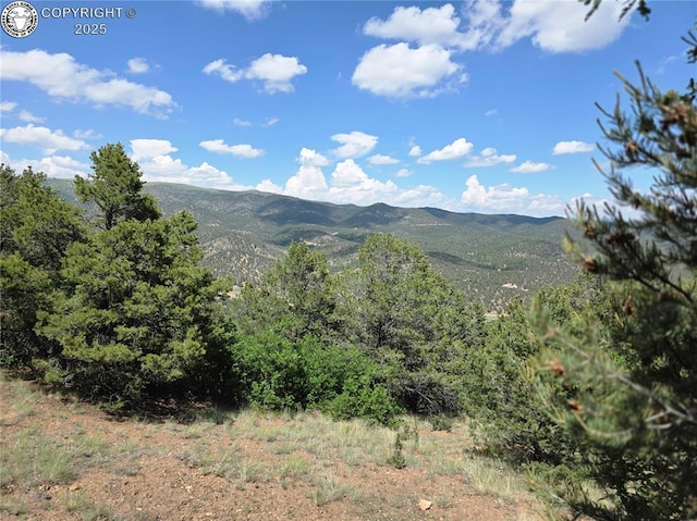 612 Lowry Ln, Canon City, CO 81212 - view of mountain background