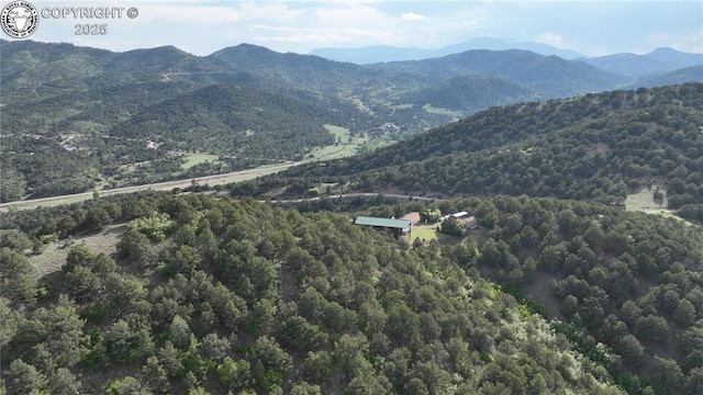 612 Lowry Ln, Canon City, CO 81212 - mountain view with a forest