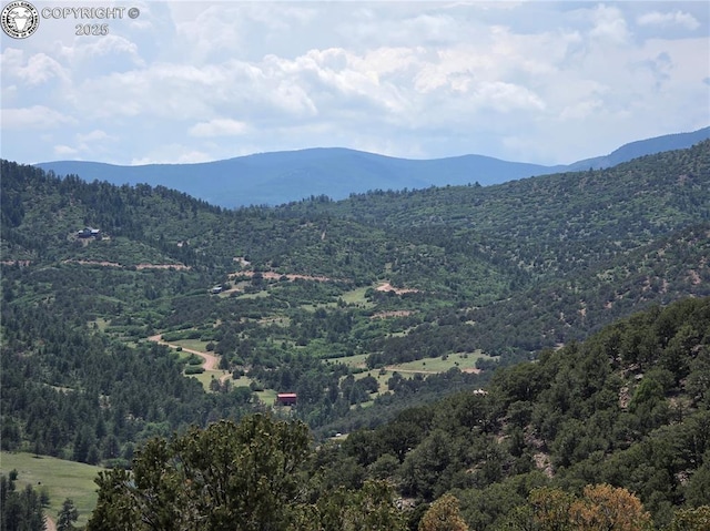 612 Lowry Ln, Canon City, CO 81212 - view of mountain background with a heavily wooded area