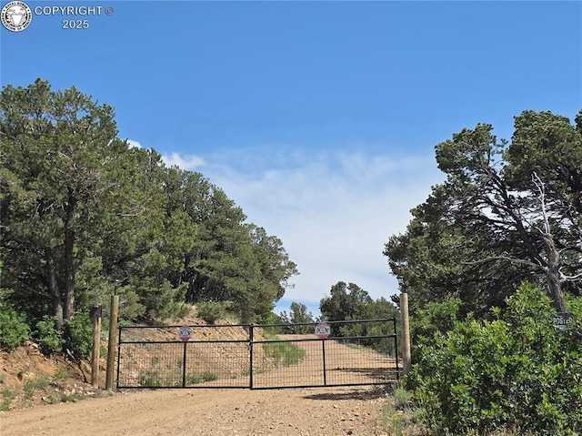 612 Lowry Ln, Canon City, CO 81212 - view of gate