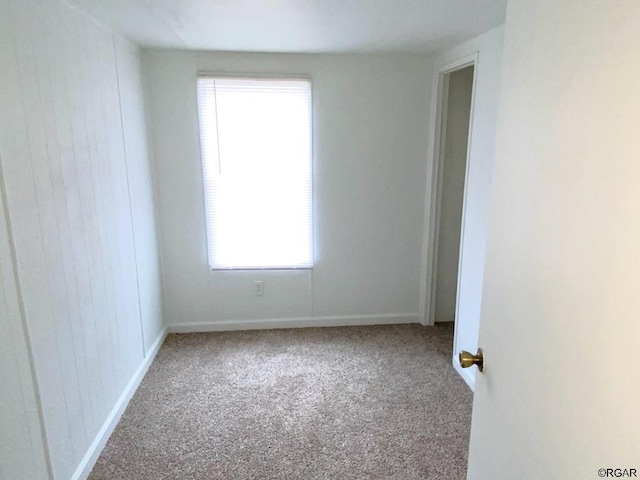 carpeted spare room featuring wooden walls and plenty of natural light