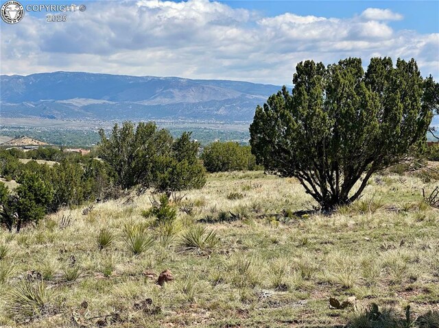 142 N Osprey Ct, Canon City, CO 81212 - photo 1