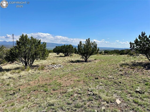142 N Osprey Ct, Canon City, CO 81212 - photo 11
