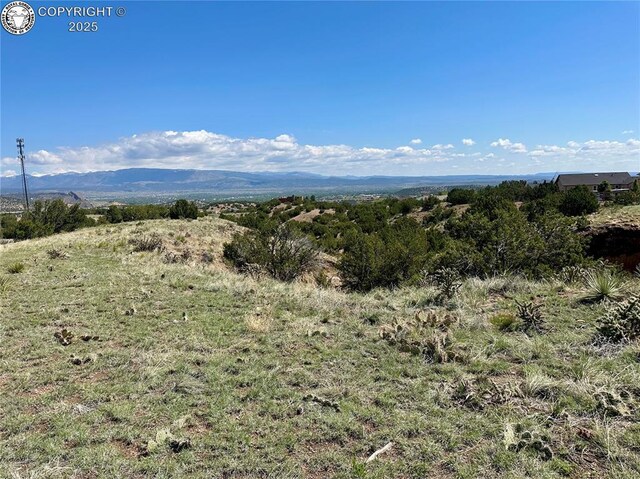 142 N Osprey Ct, Canon City, CO 81212 - photo 4