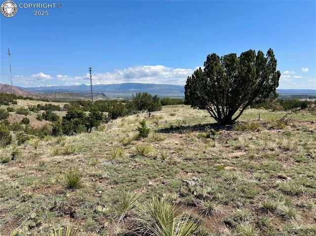 142 N Osprey Ct, Canon City, CO 81212 - photo 6