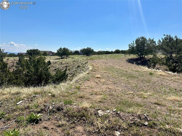 142 N Osprey Ct, Canon City, CO 81212 - photo 10