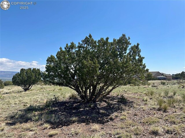 142 N Osprey Ct, Canon City, CO 81212 - photo 8