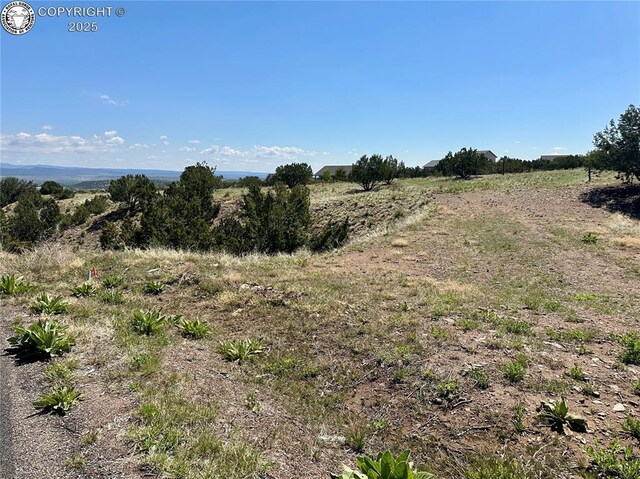 142 N Osprey Ct, Canon City, CO 81212 - photo 9