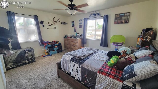 12 Grant St, Penrose, CO 81240 - photo 16