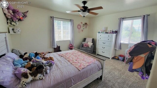 12 Grant St, Penrose, CO 81240 - photo 13