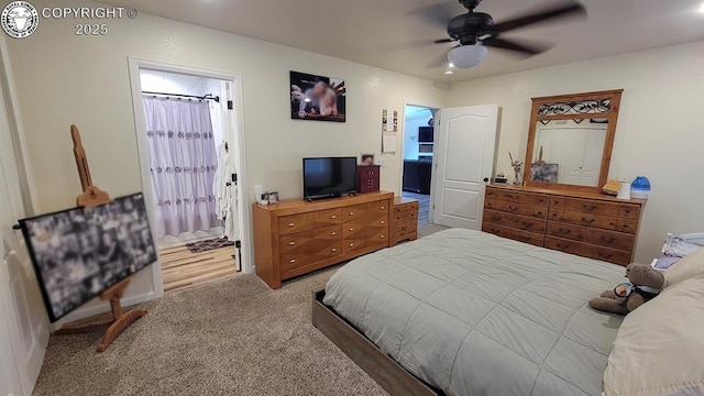 12 Grant St, Penrose, CO 81240 - photo 23