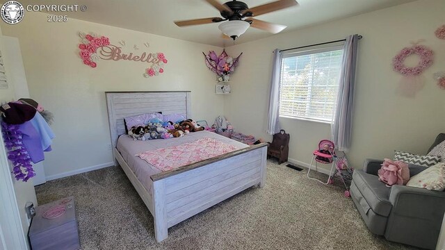 12 Grant St, Penrose, CO 81240 - photo 15