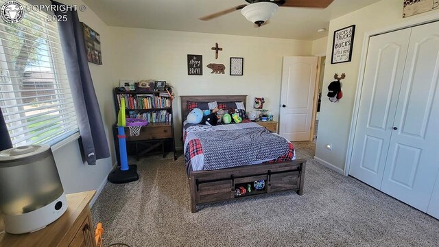 12 Grant St, Penrose, CO 81240 - photo 17